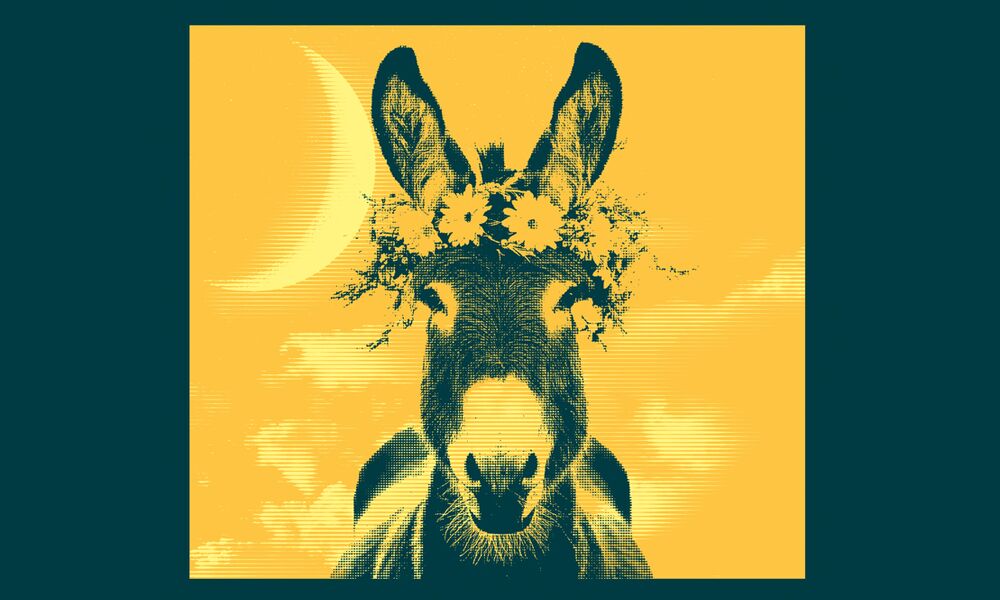 Veranstaltung: Ein Sommernachtstraum