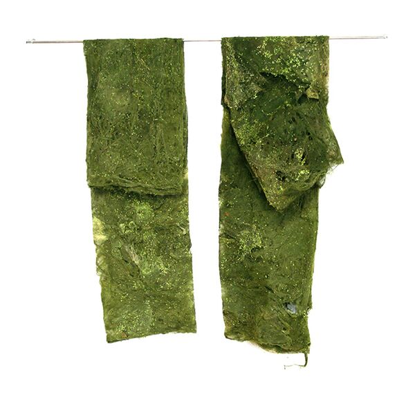 Veranstaltung Mohr-Villa: Ausstellung: LOOK AT ME – I AM NATURE